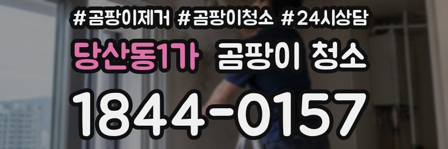 당산동1가 곰팡이 청소