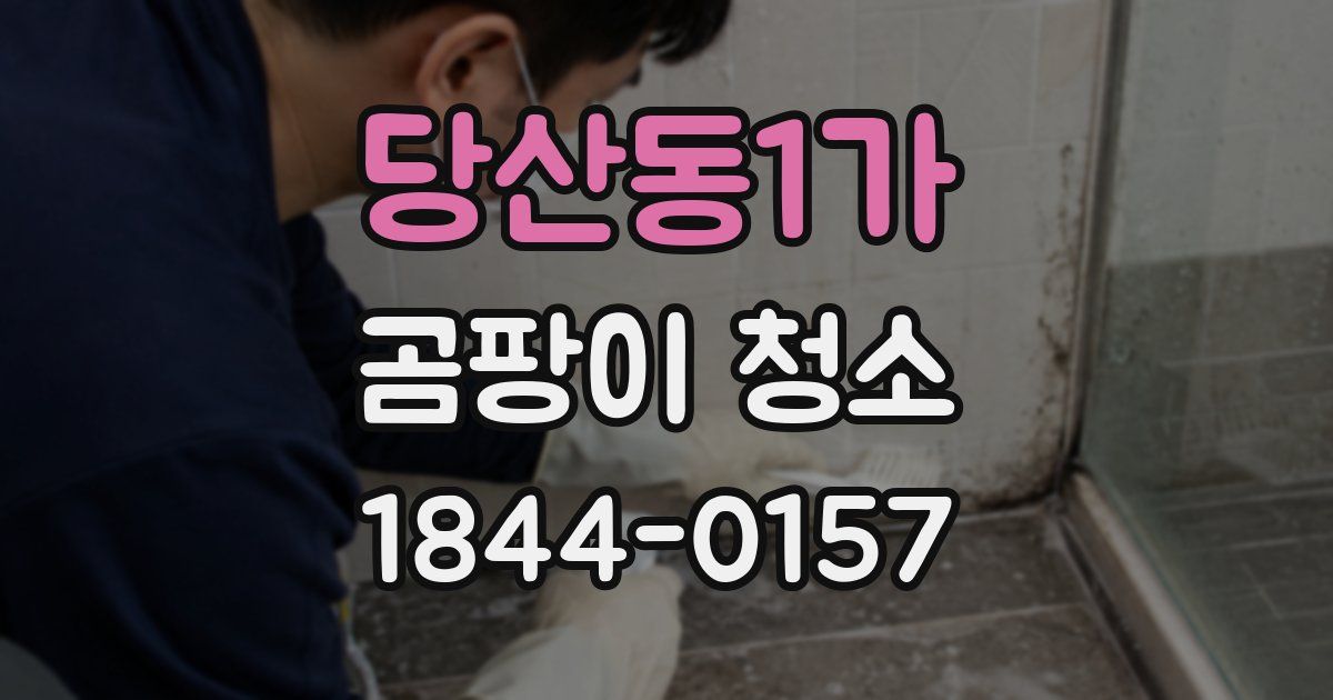 당산동1가 곰팡이 청소