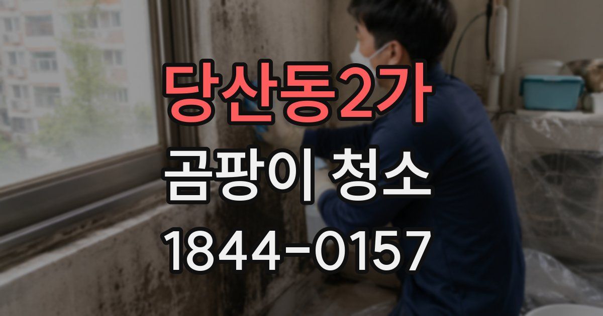 당산동2가 곰팡이 청소
