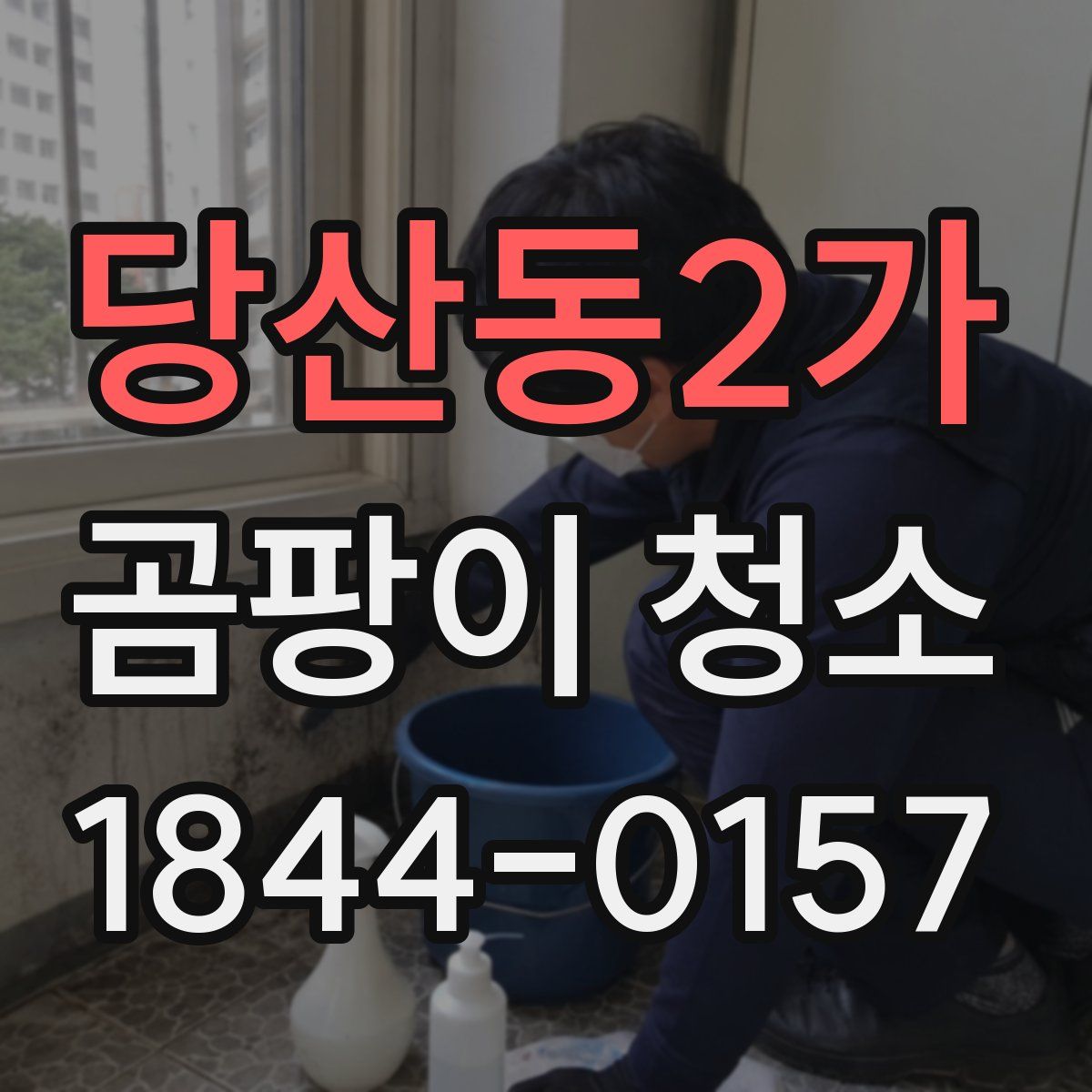 당산동2가 곰팡이 청소