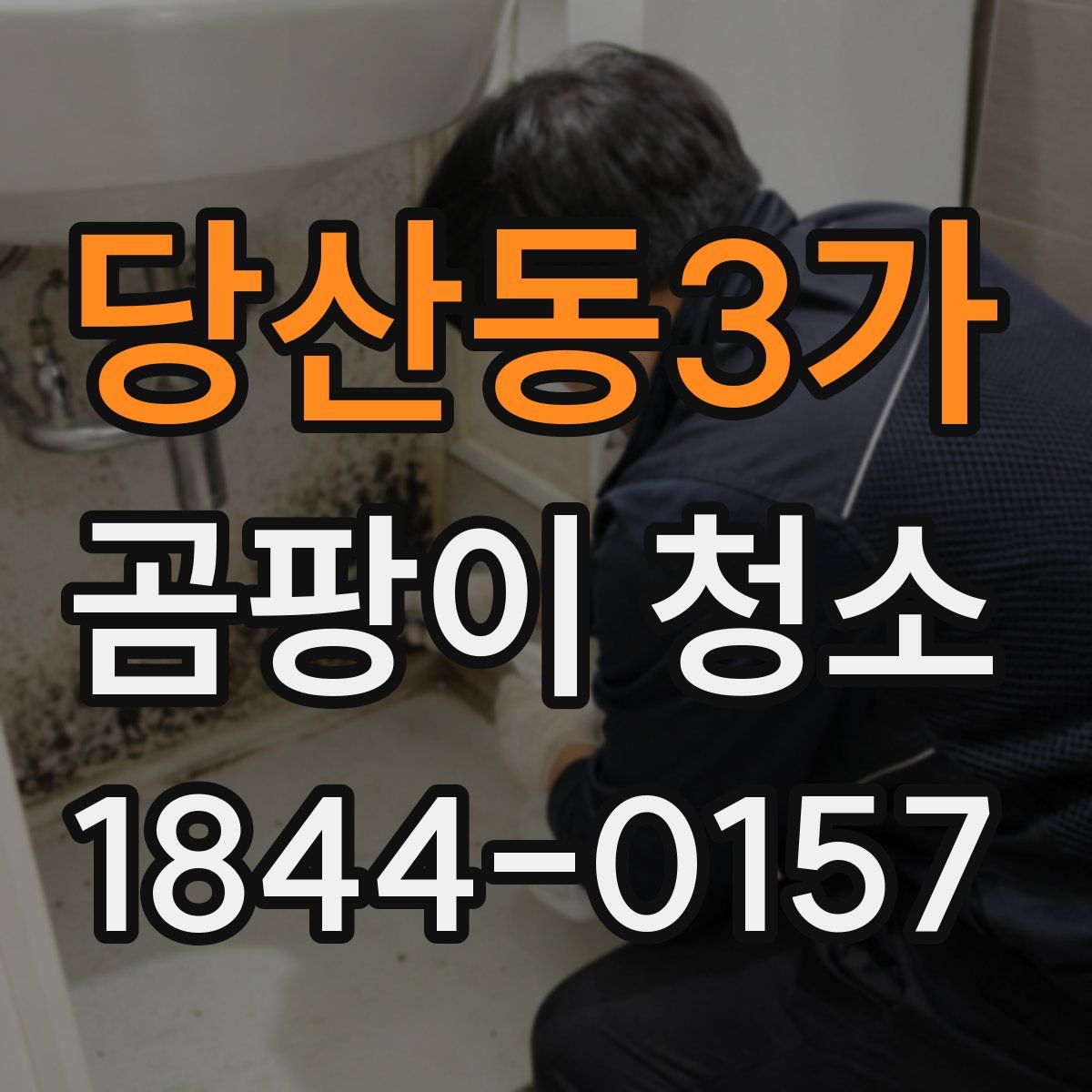 당산동3가 곰팡이 청소