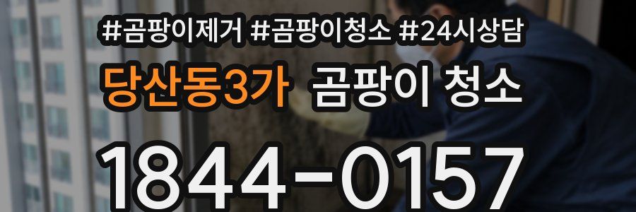 당산동3가 곰팡이 청소