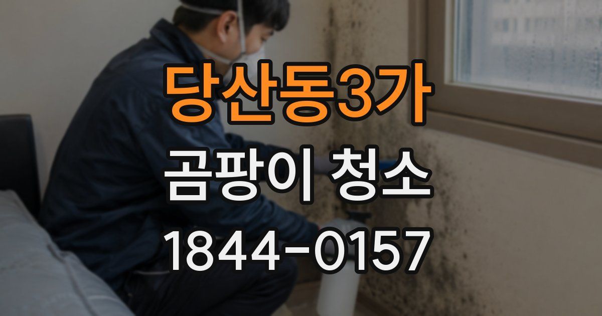 당산동3가 곰팡이 청소