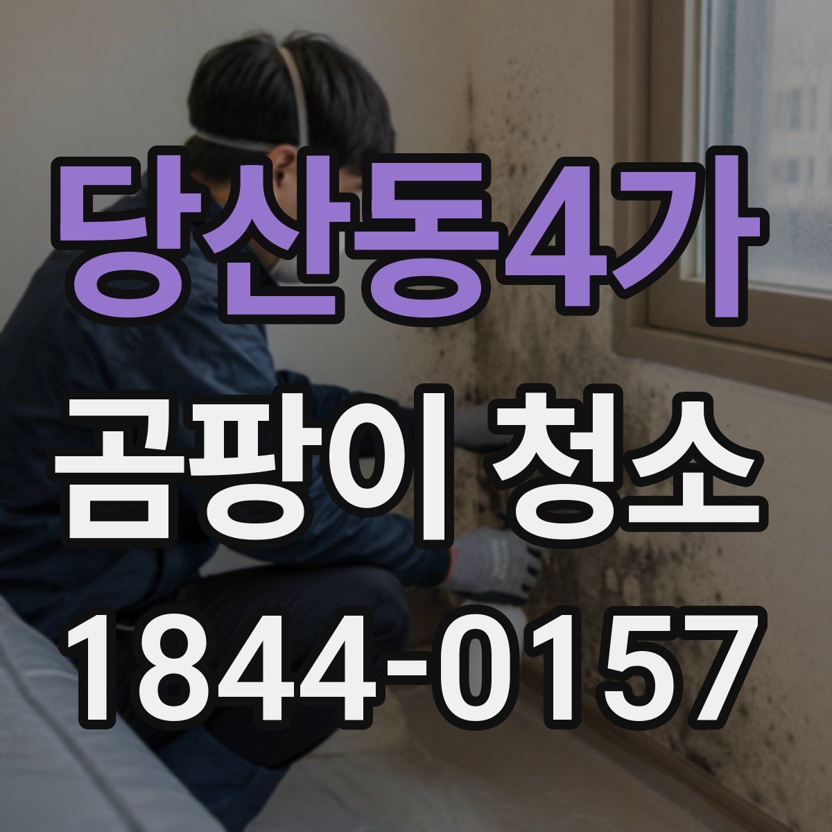 당산동4가 곰팡이 청소