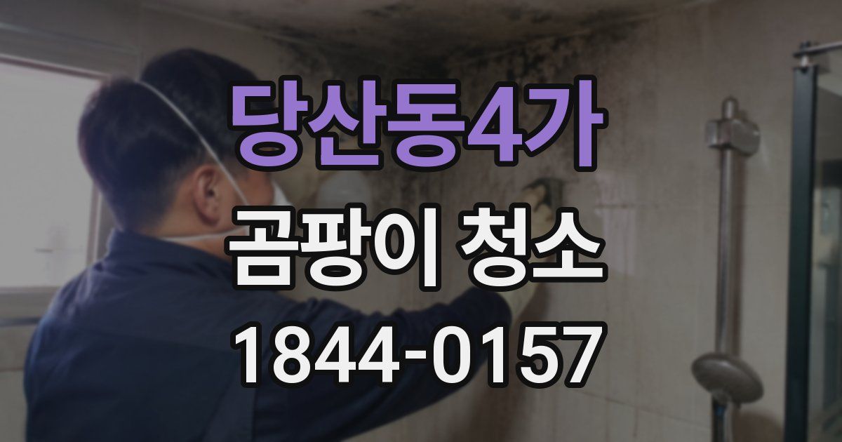 당산동4가 곰팡이 청소
