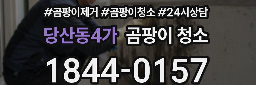 당산동4가 곰팡이 청소
