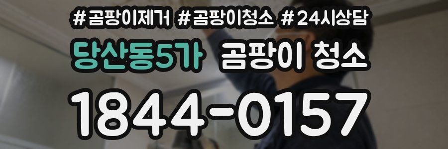 당산동5가 곰팡이 청소