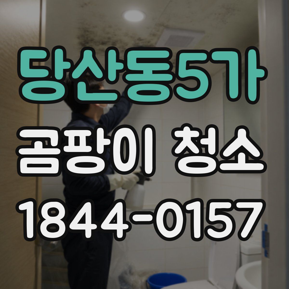 당산동5가 곰팡이 청소