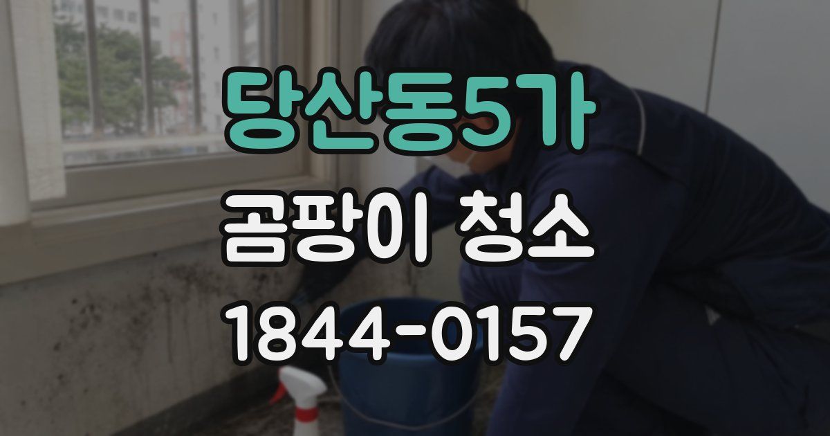 당산동5가 곰팡이 청소