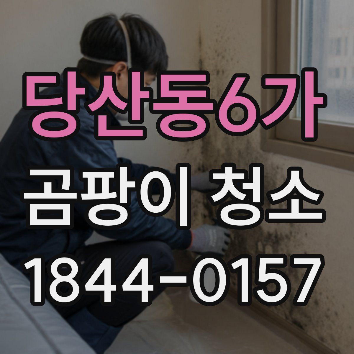 당산동6가 곰팡이 청소