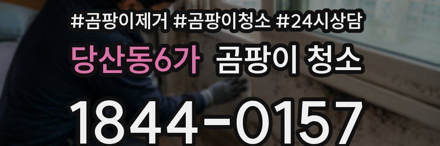 당산동6가 곰팡이 청소