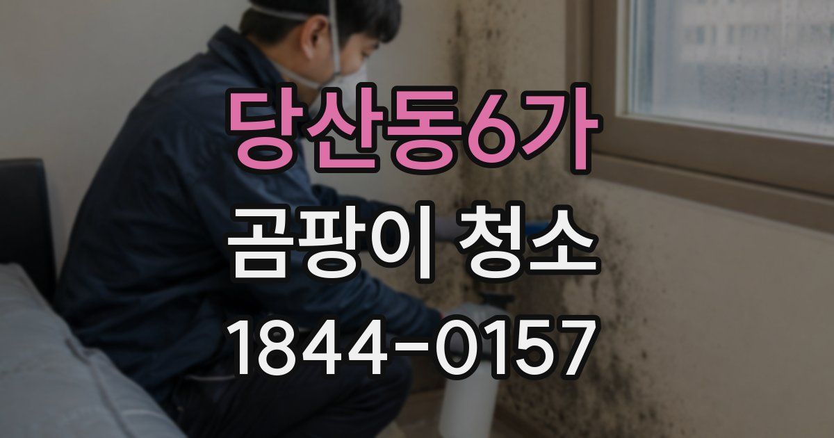 당산동6가 곰팡이 청소