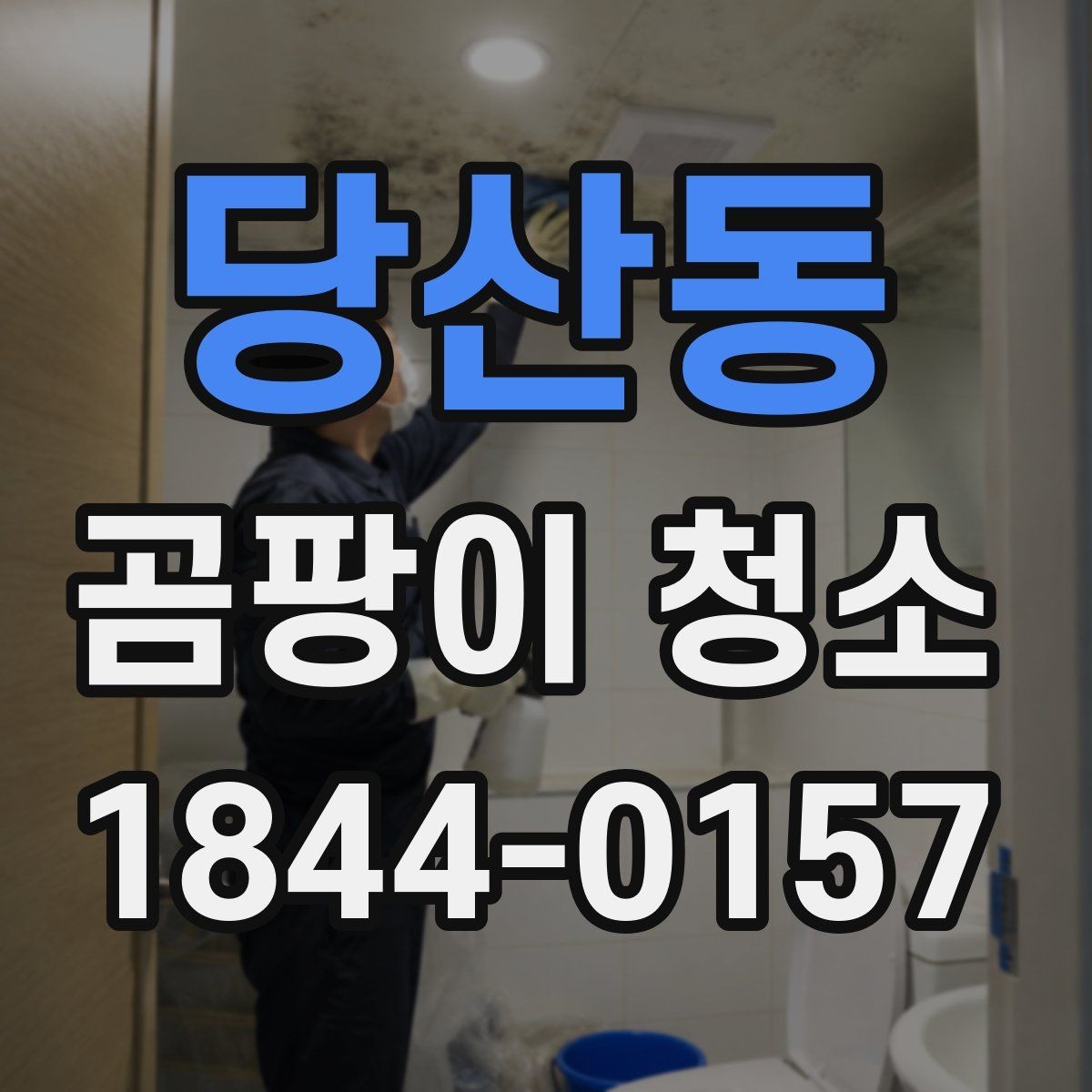 당산동 곰팡이 청소 현장에서 남겨두면 좋은 전후 비교 사진