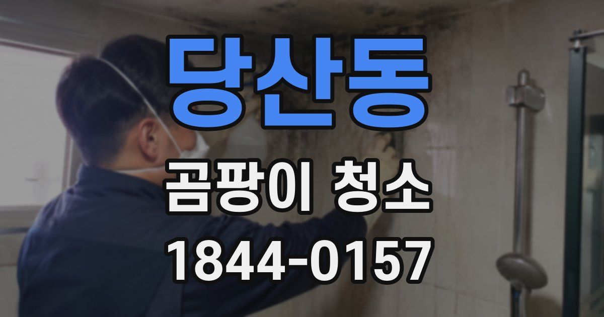 당산동 곰팡이 청소