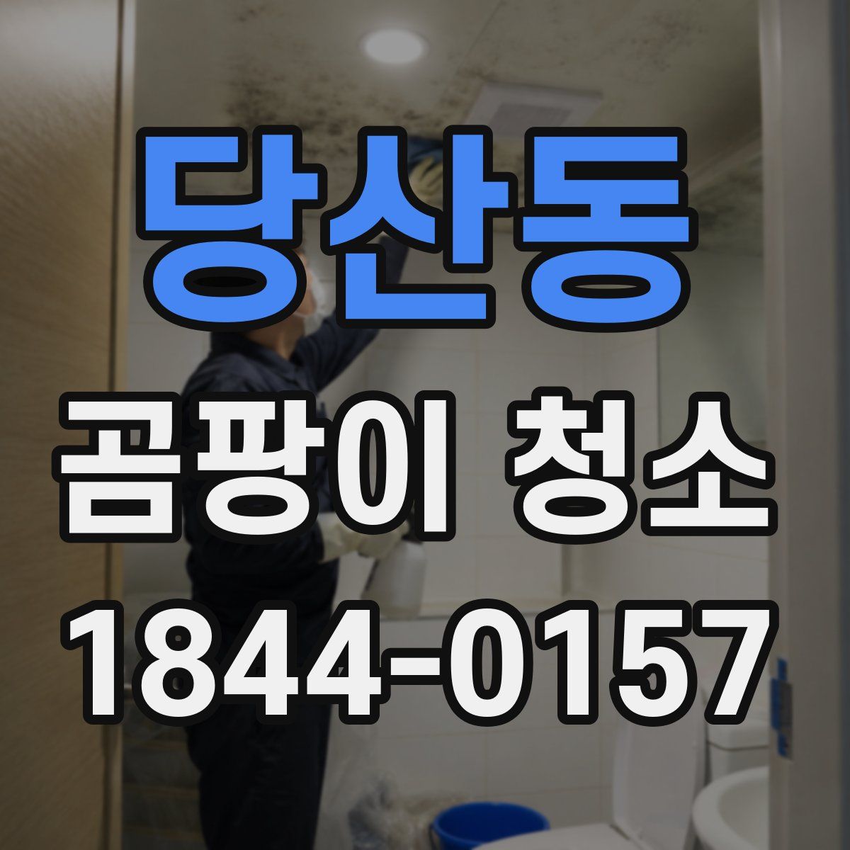 당산동 곰팡이 청소