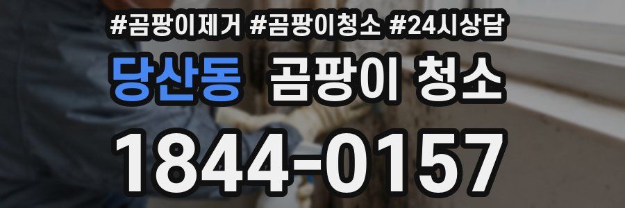 당산동 곰팡이 청소