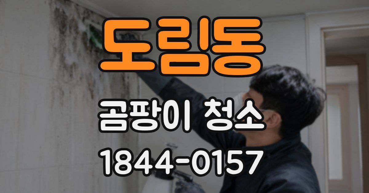 도림동 곰팡이 청소