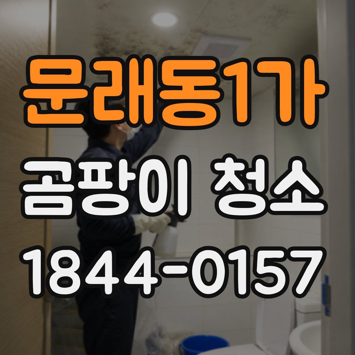 문래동1가 곰팡이 청소