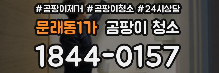 문래동1가 곰팡이 청소
