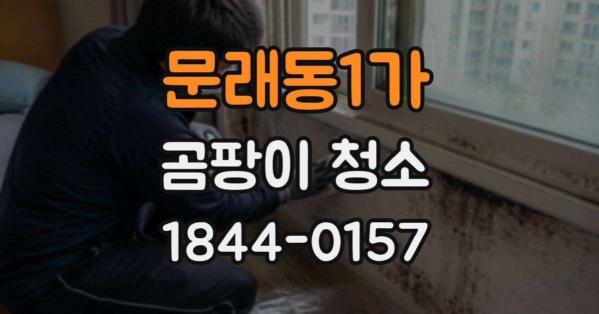 문래동1가 곰팡이 청소