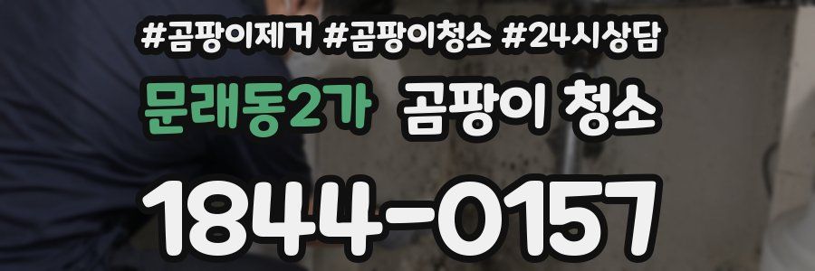 문래동2가 곰팡이 청소