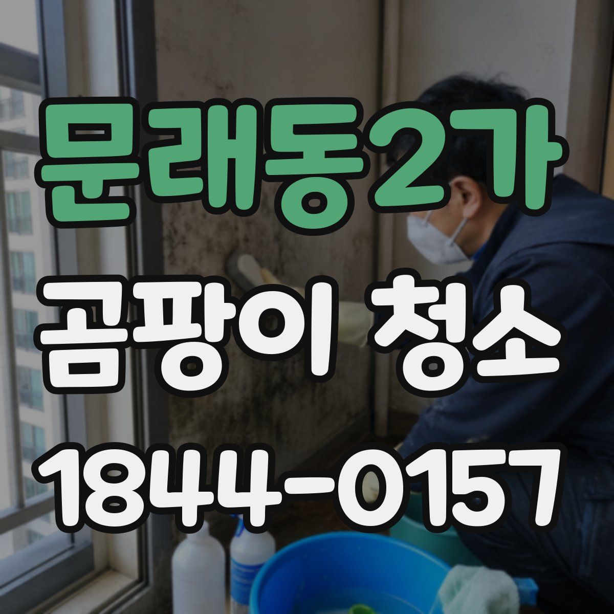 문래동2가 곰팡이 청소