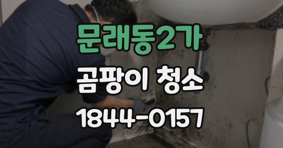 문래동2가 곰팡이 청소