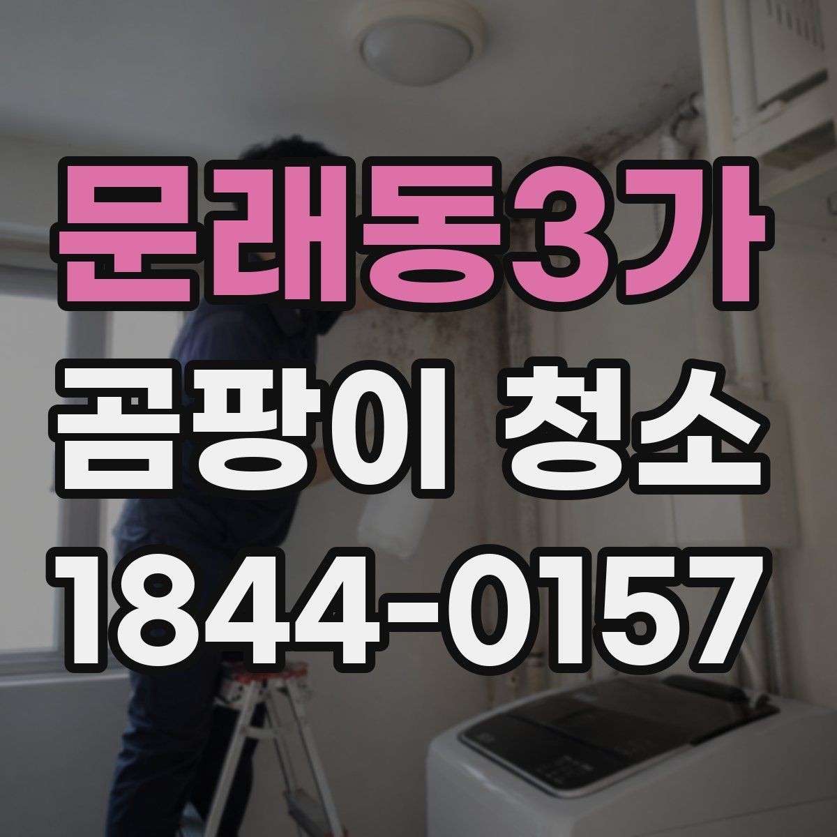 문래동3가 곰팡이 청소 벽면과 천장에 남은 흔적을 비교해 보는 기준