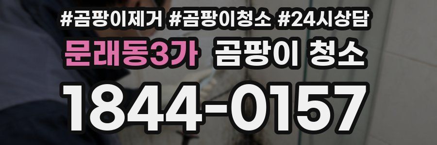 문래동3가 곰팡이 청소