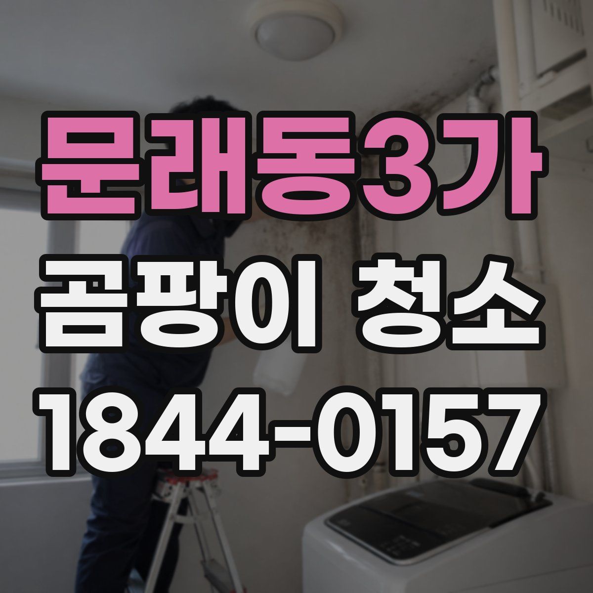 문래동3가 곰팡이 청소