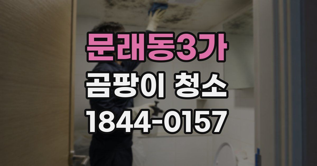 문래동3가 곰팡이 청소