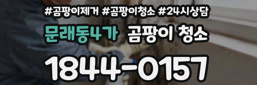 문래동4가 곰팡이 청소