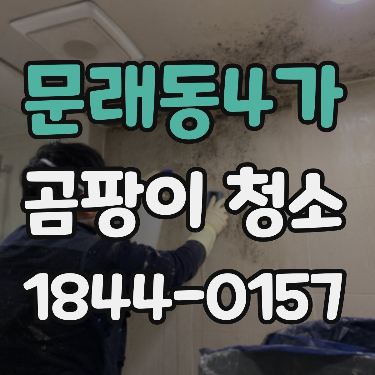 문래동4가 곰팡이 청소