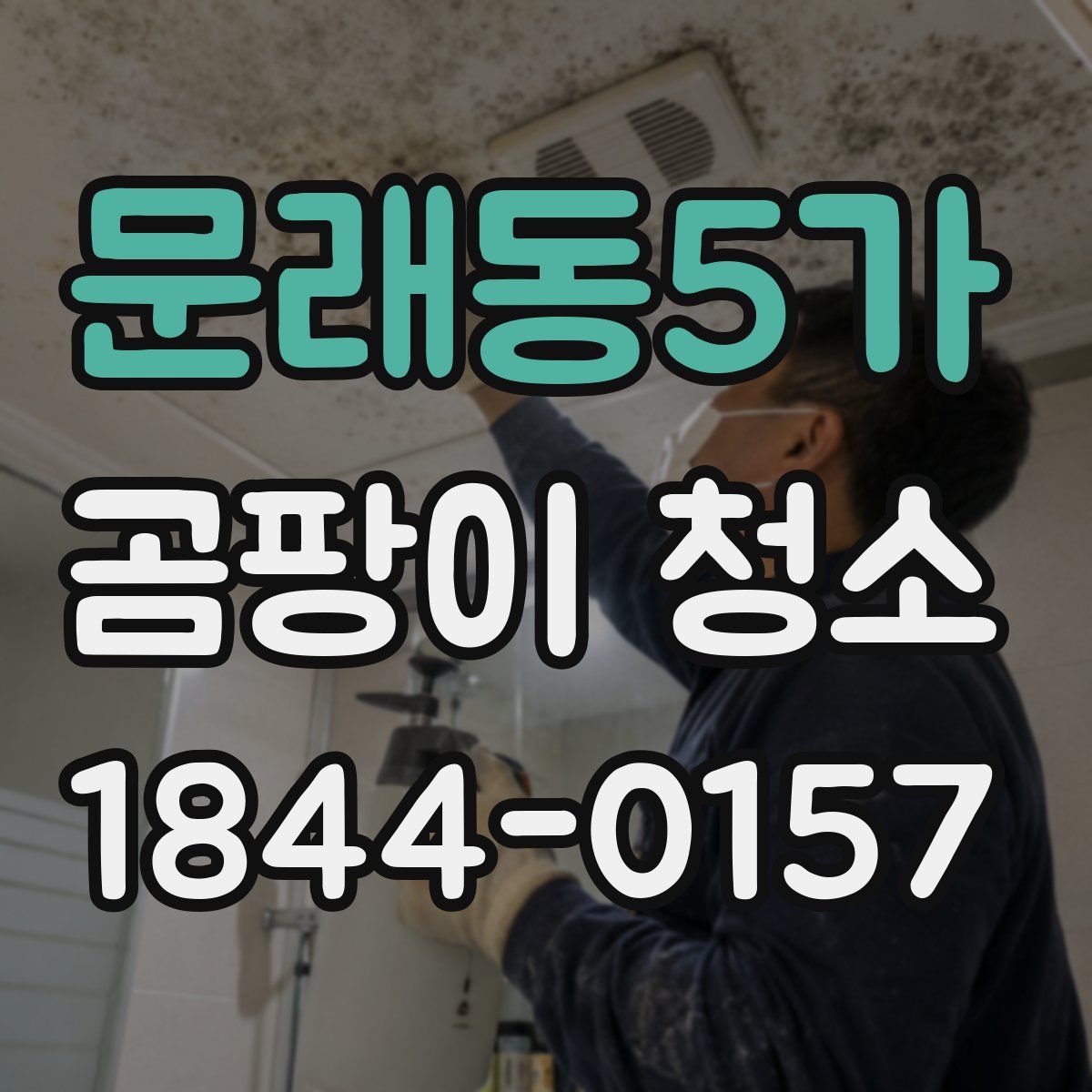 문래동5가 곰팡이 청소