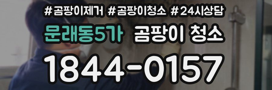 문래동5가 곰팡이 청소