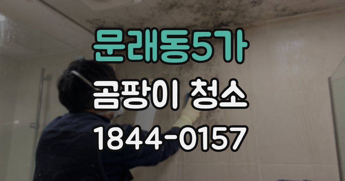 문래동5가 곰팡이 청소