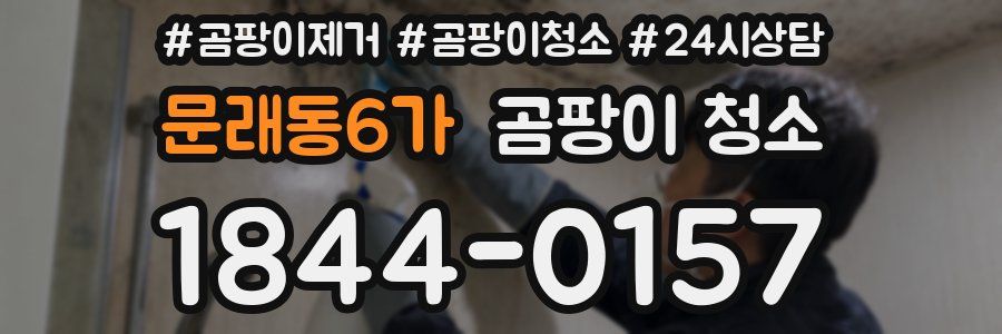 문래동6가 곰팡이 청소