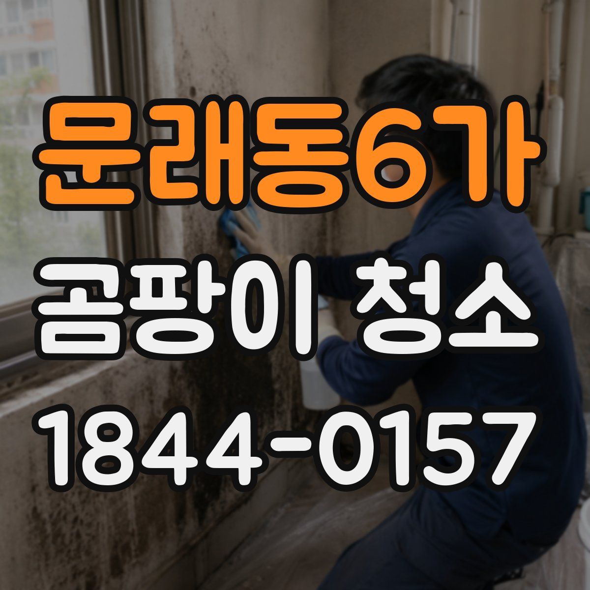 문래동6가 곰팡이 청소