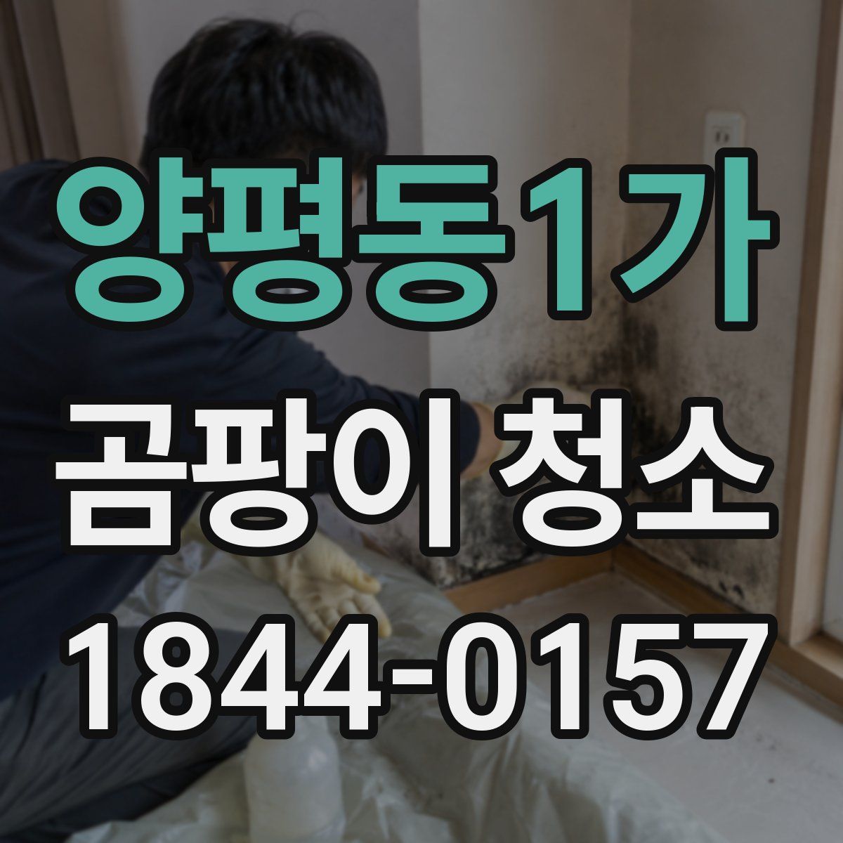 양평동1가 곰팡이 청소