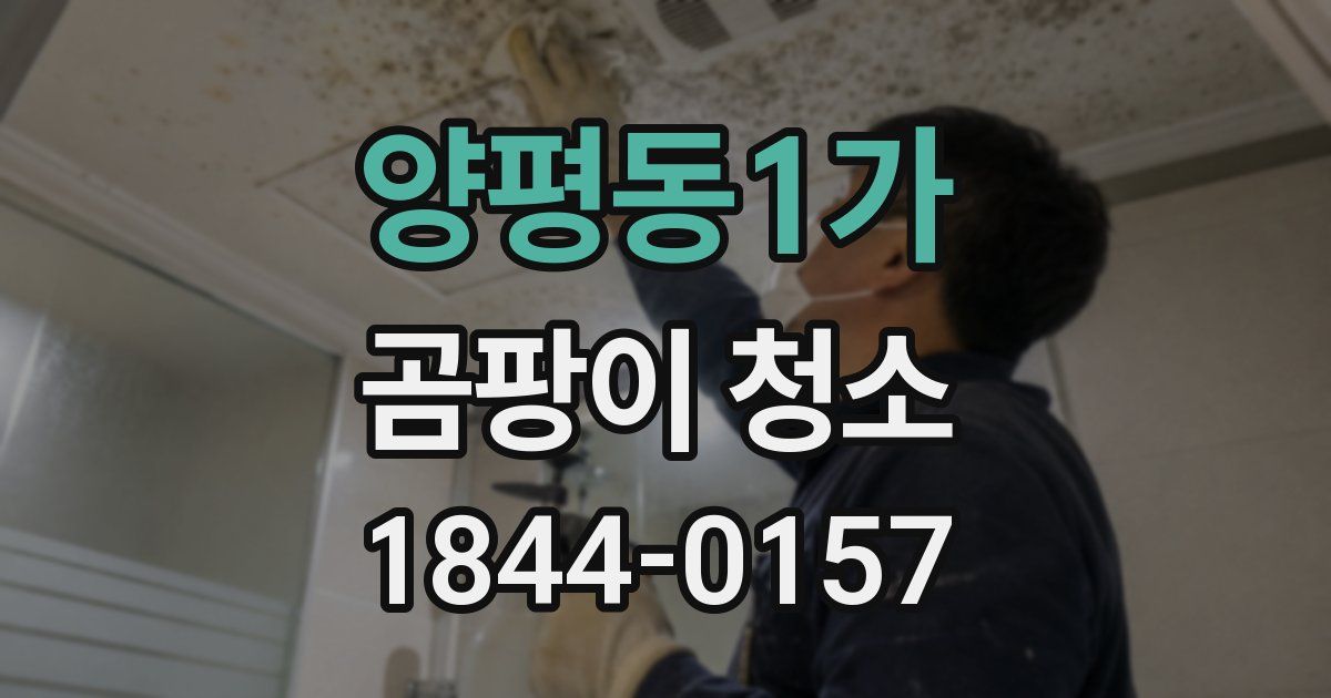 양평동1가 곰팡이 청소