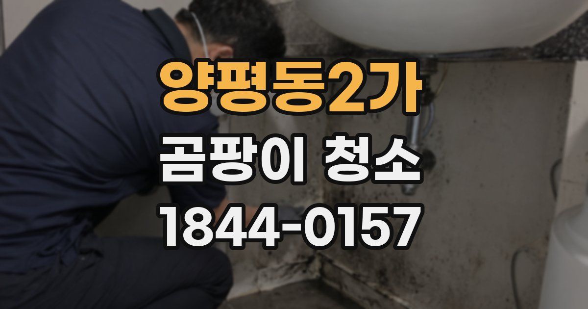 양평동2가 곰팡이 청소