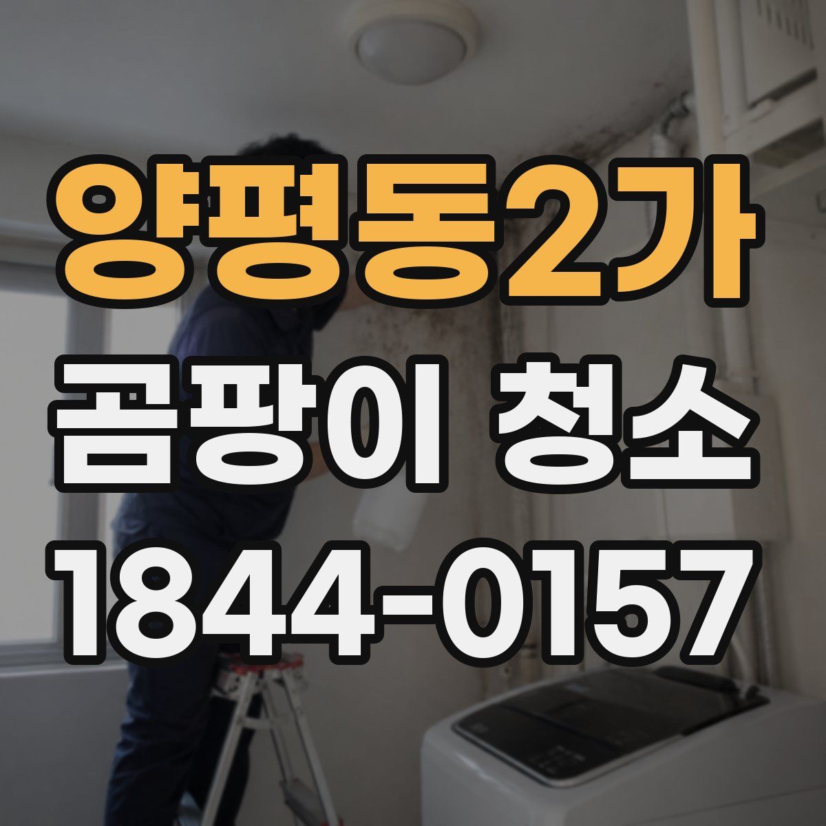 양평동2가 곰팡이 청소