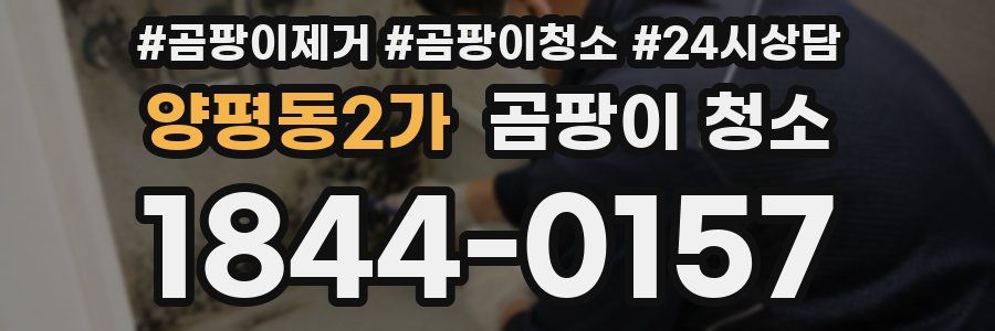 양평동2가 곰팡이 청소
