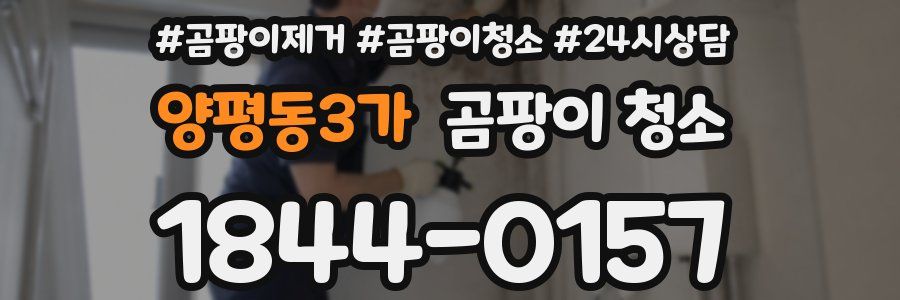 양평동3가 곰팡이 청소