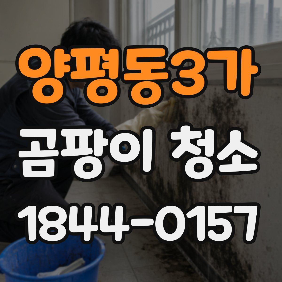 양평동3가 곰팡이 청소