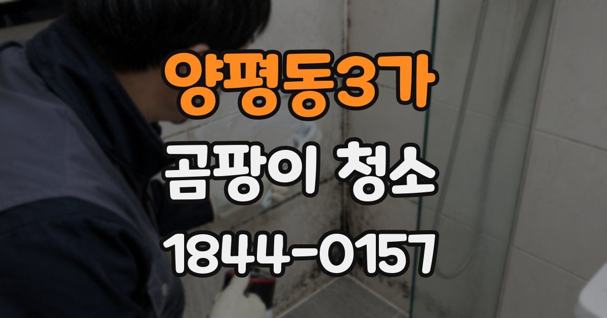 양평동3가 곰팡이 청소