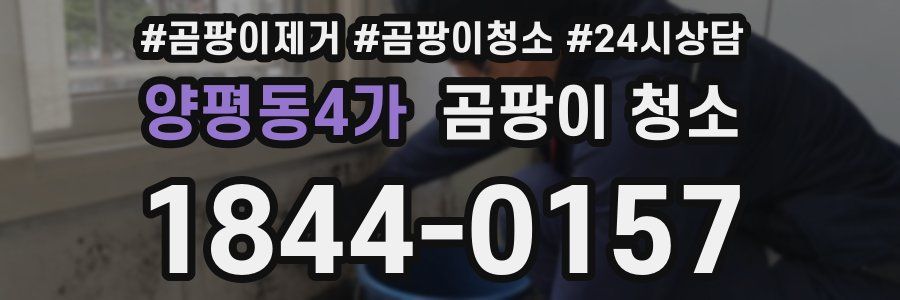 양평동4가 곰팡이 청소