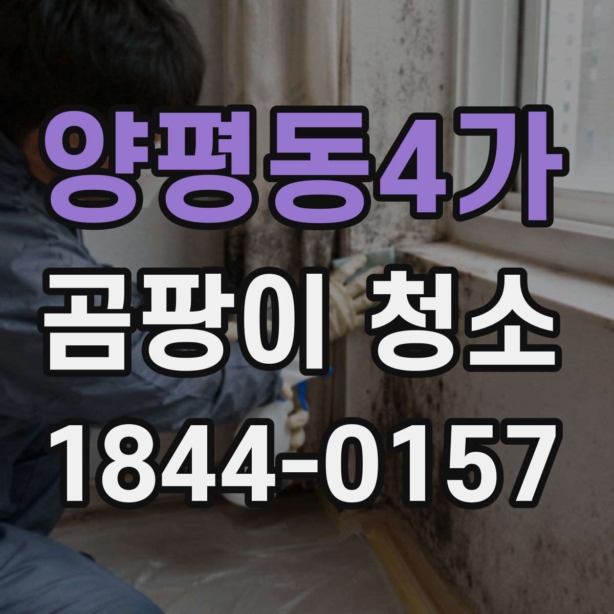 양평동4가 곰팡이 청소
