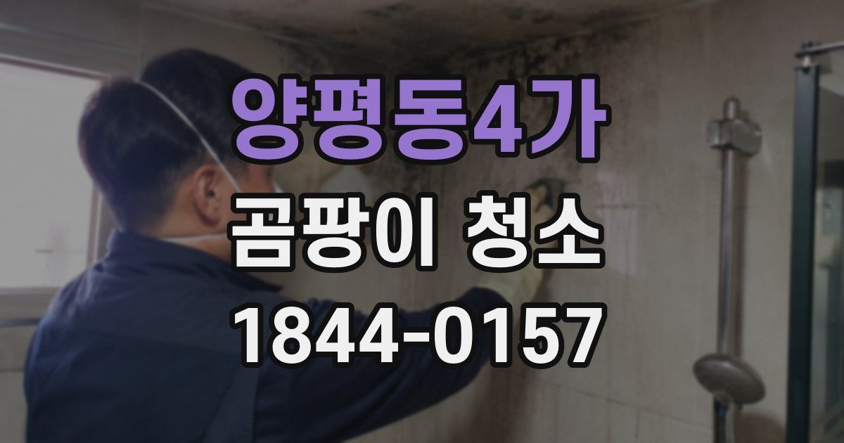 양평동4가 곰팡이 청소