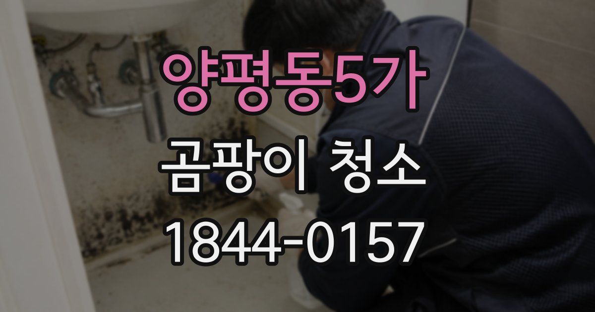 양평동5가 곰팡이 청소